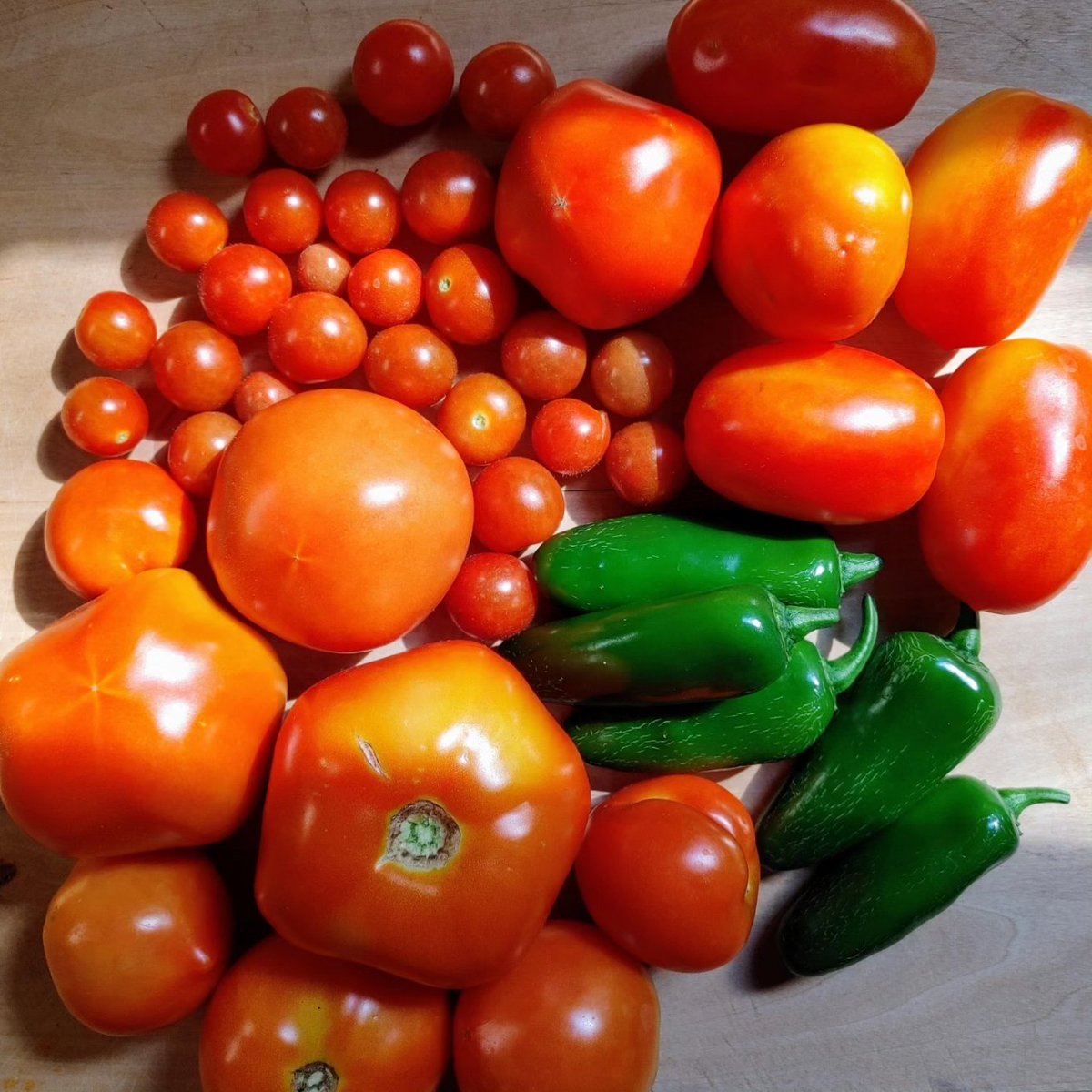 Dr. Vanessa K Hilliard tweet media