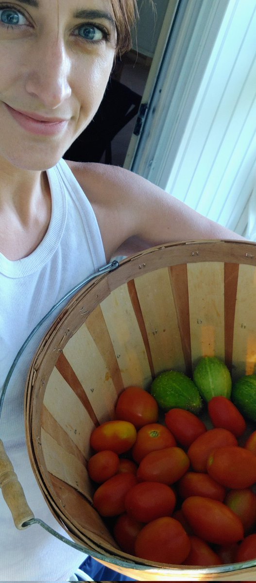 Dr. Vanessa K Hilliard tweet media