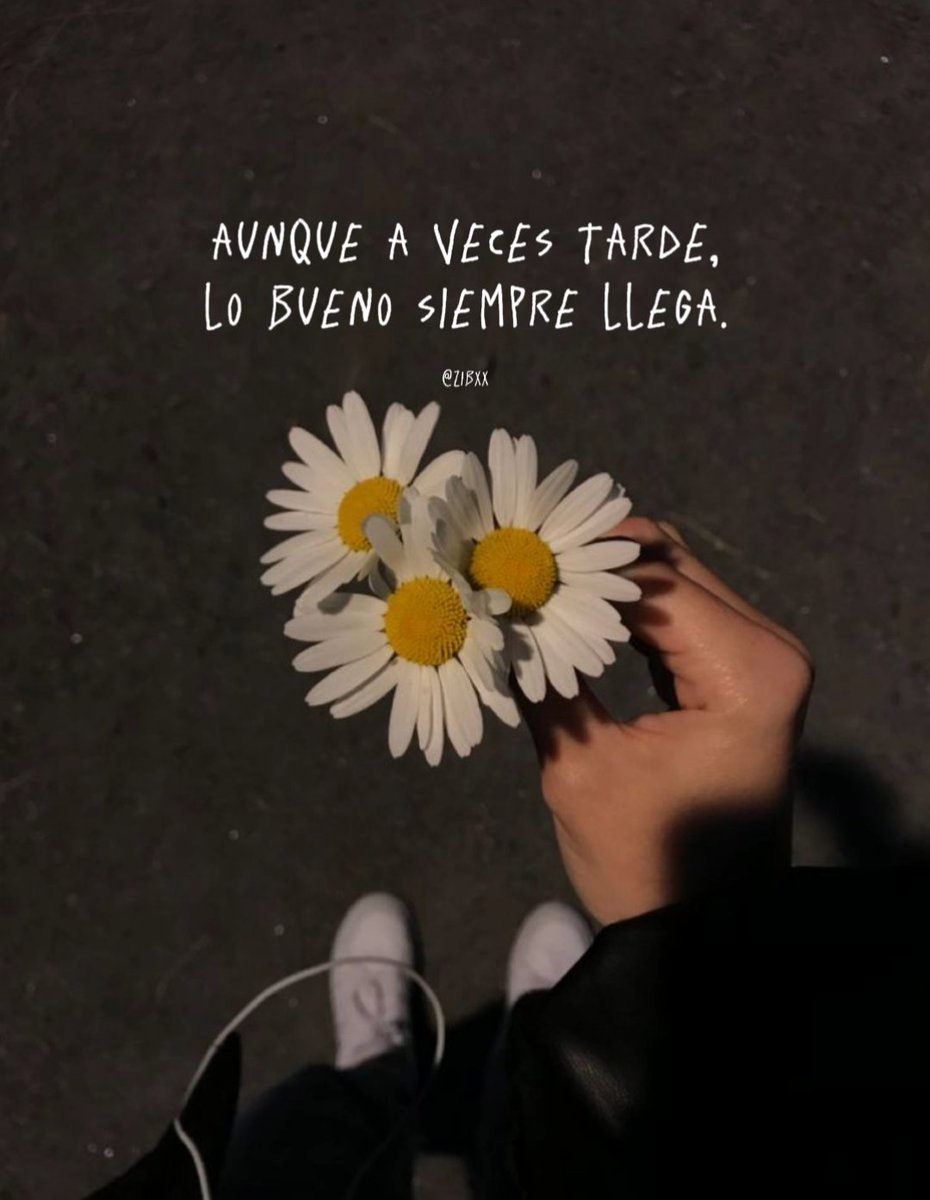 zibá (@zibxx) on Twitter photo 