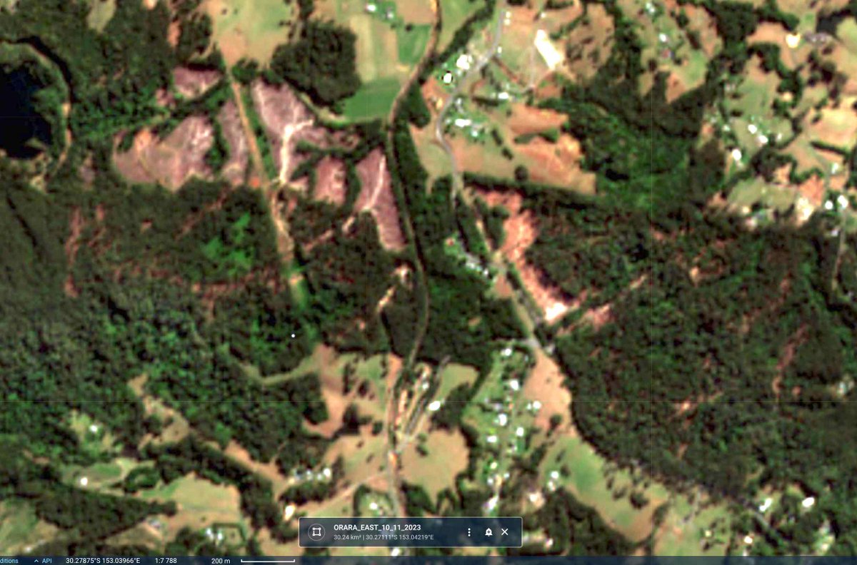 Meredith Stanton tweet media