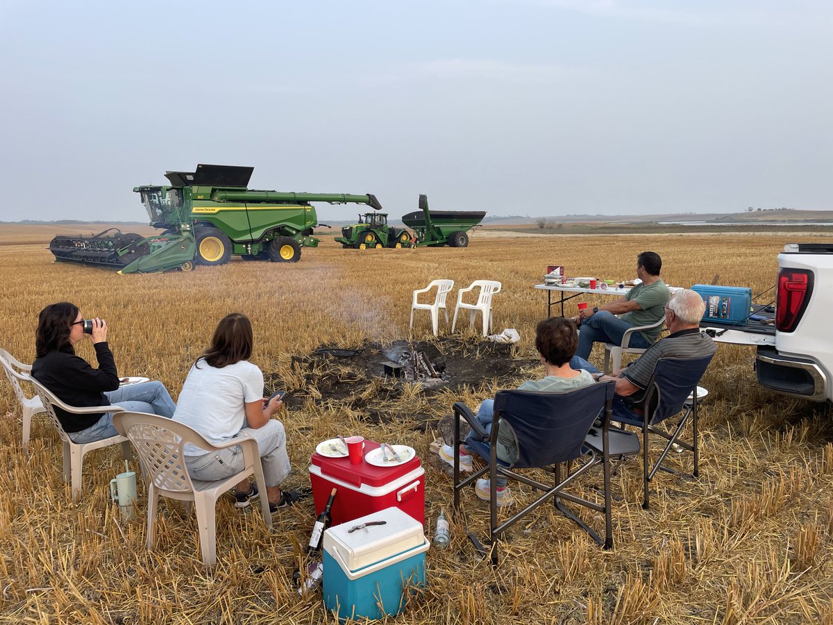 Bryce Thom tweet media