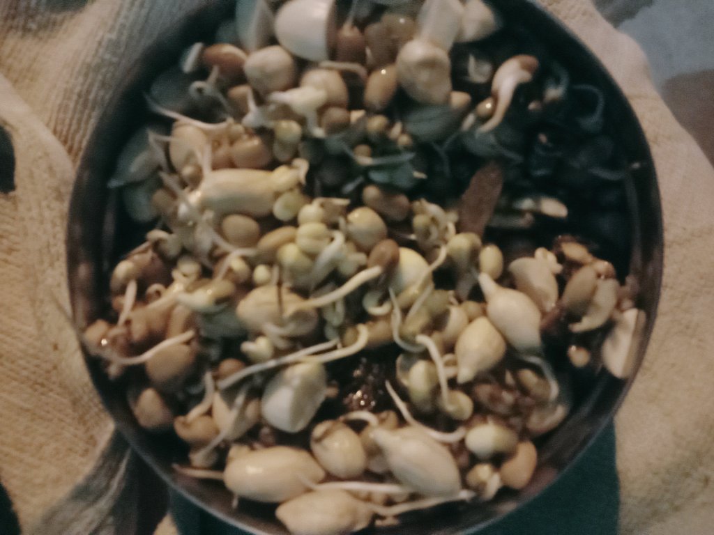 Devi03058129's tweet photo. Ready for breakfast
ఇకపై ఇదే తినాలని అమ్మ order. 
#sproutedseeds https://t.co/xHrRJBqhPn