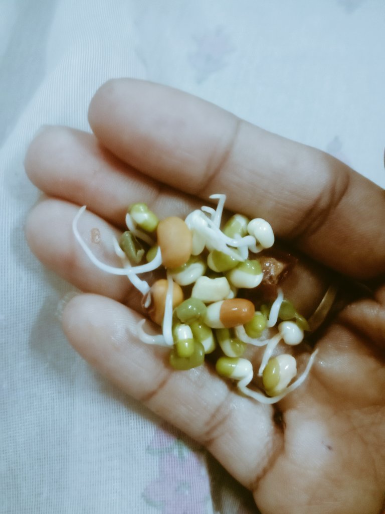 Devi03058129's tweet photo. Ready for breakfast
ఇకపై ఇదే తినాలని అమ్మ order. 
#sproutedseeds https://t.co/xHrRJBqhPn