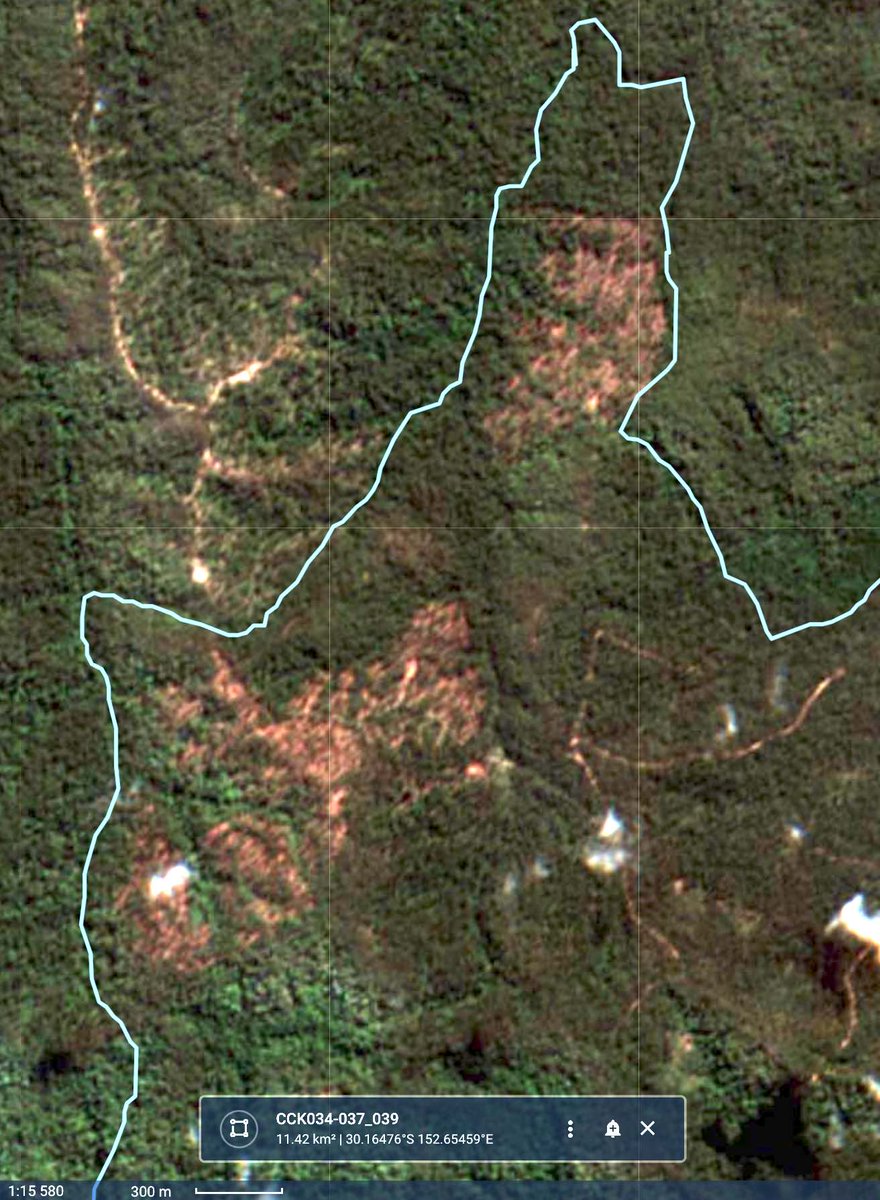 Meredith Stanton tweet media