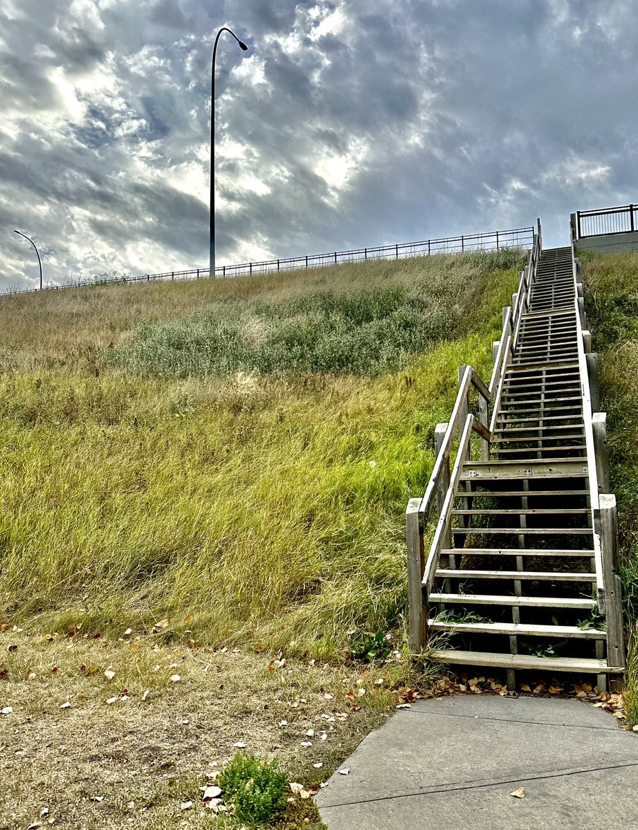 Happy Friday Everyone! 

Here is a new one from 📷 Adrianna. 

#photograghy #nftphotography