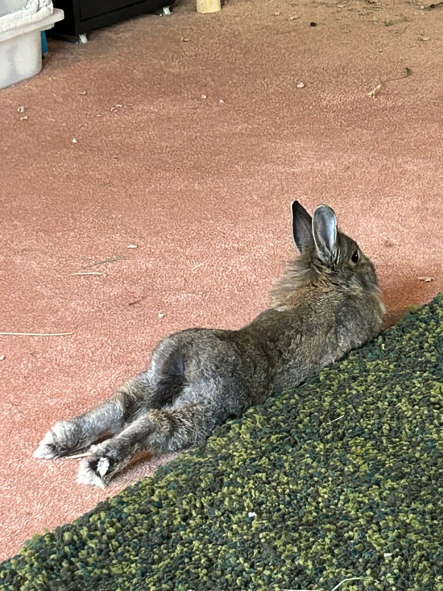 <a href="/TheSpoonQueen1/">Spoon Queen (comms open)</a>