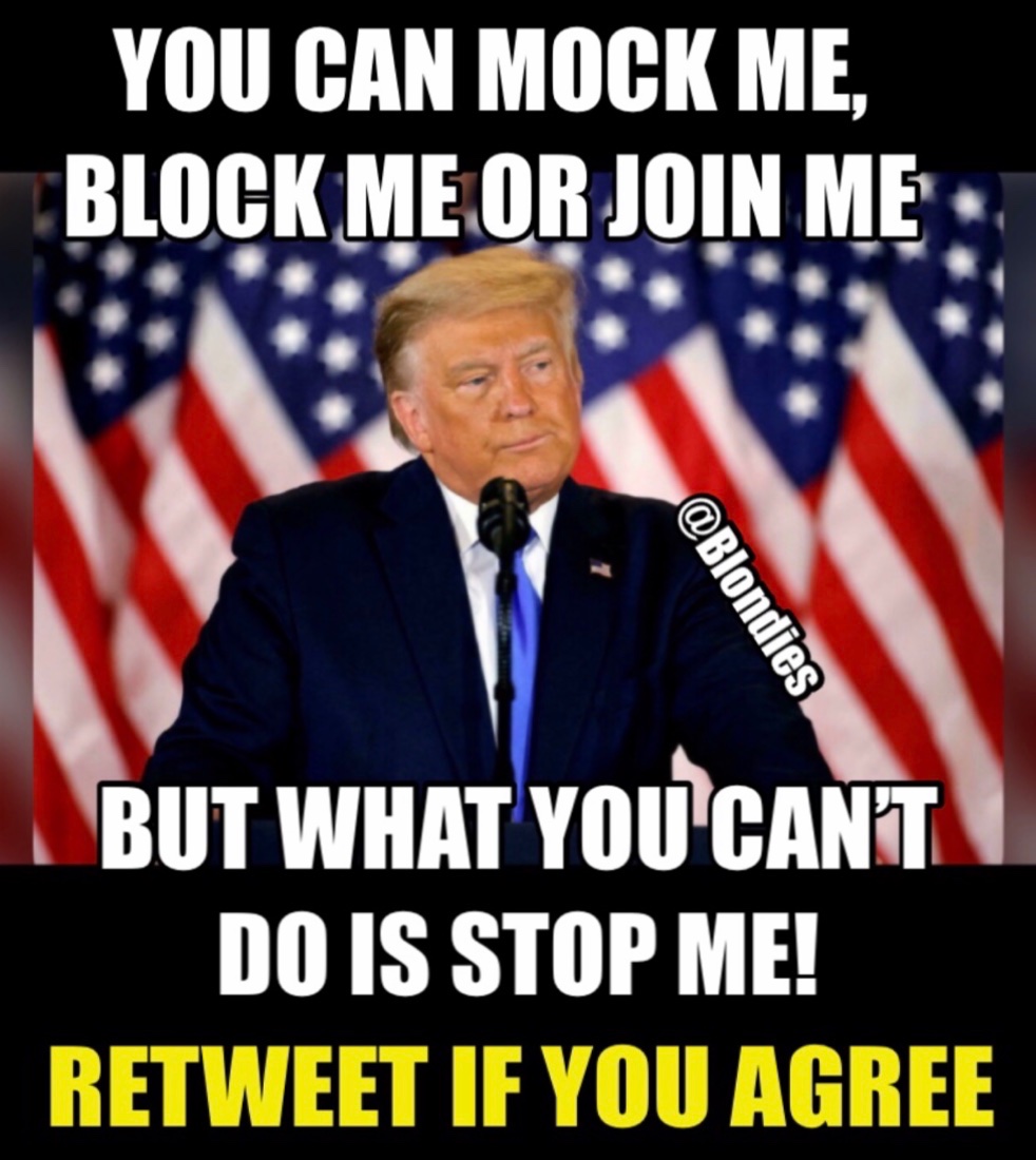 To all you PATRIOTS Thank you, for following me 🇺🇲🇺🇲 I'm trying my best to get to all of you for a follow back 🇺🇲🇺🇲