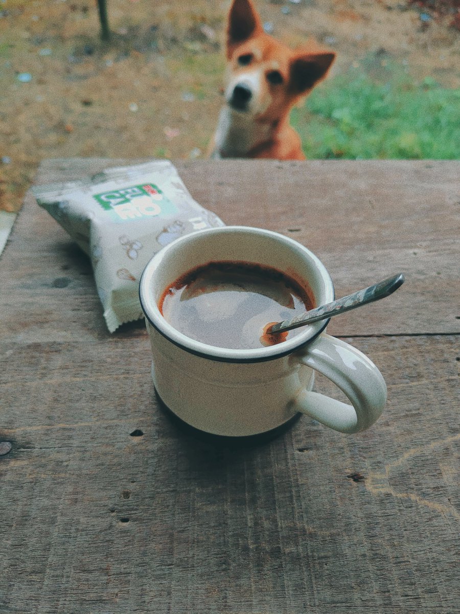 attic422's tweet photo. Morning with my dog
#CoffeeTime #Coffee #coffeephoto
#CoffeeLover https://t.co/AxrXxbZPiz