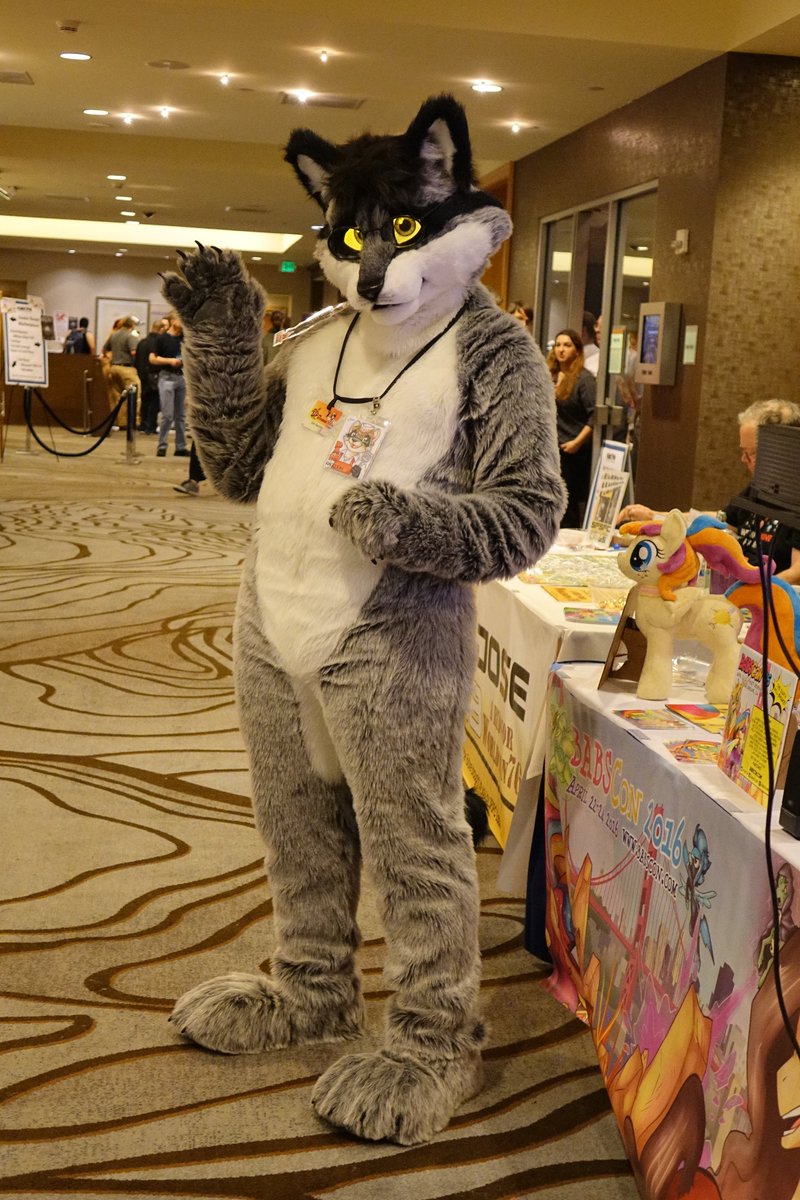 dan_raccoon's tweet photo. A little blast from the past for #FursuitFriday! Here I am standing next to the @BABSCon table at #FC2016 in San Jose, CA.
Photo by @lostwolf321 https://t.co/bSIm8lXAbG