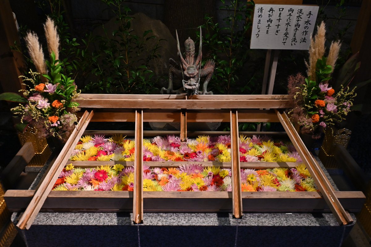 重陽の節句＊花手水 ～幸せの宝石箱～ 9月9日（土）の「重陽の節句」に