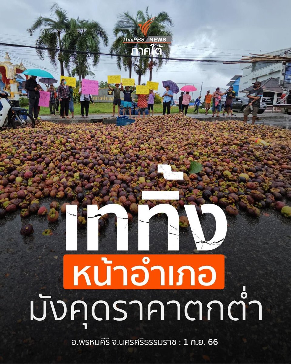 suthichai tweet media