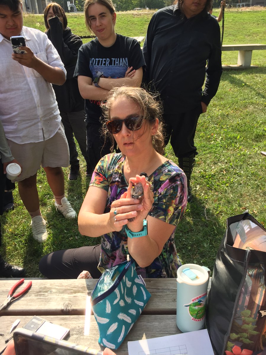 Access University of Manitoba tweet media