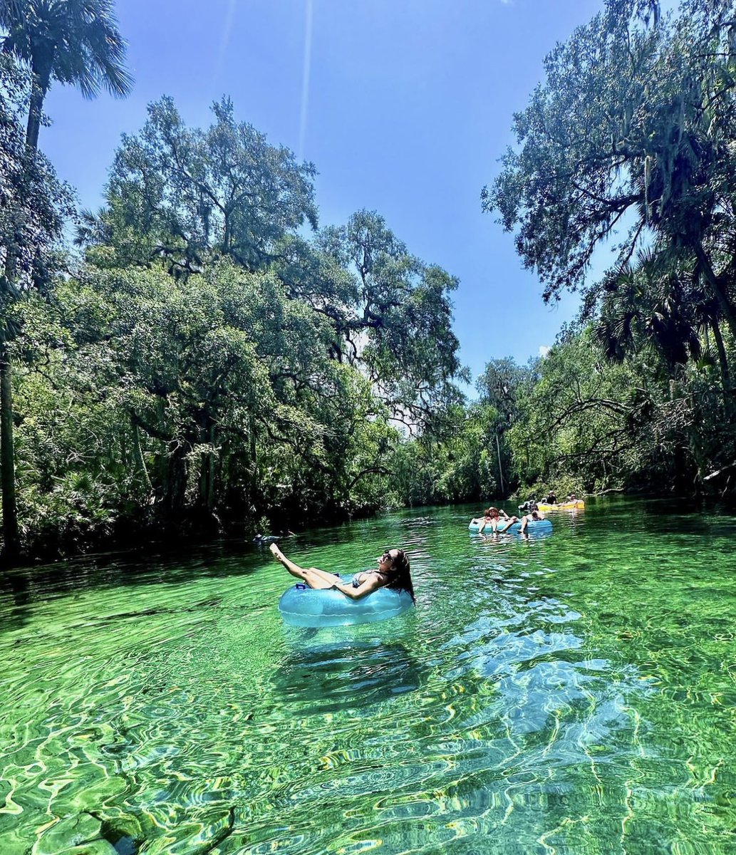 Blue Spring Adventures tweet media
