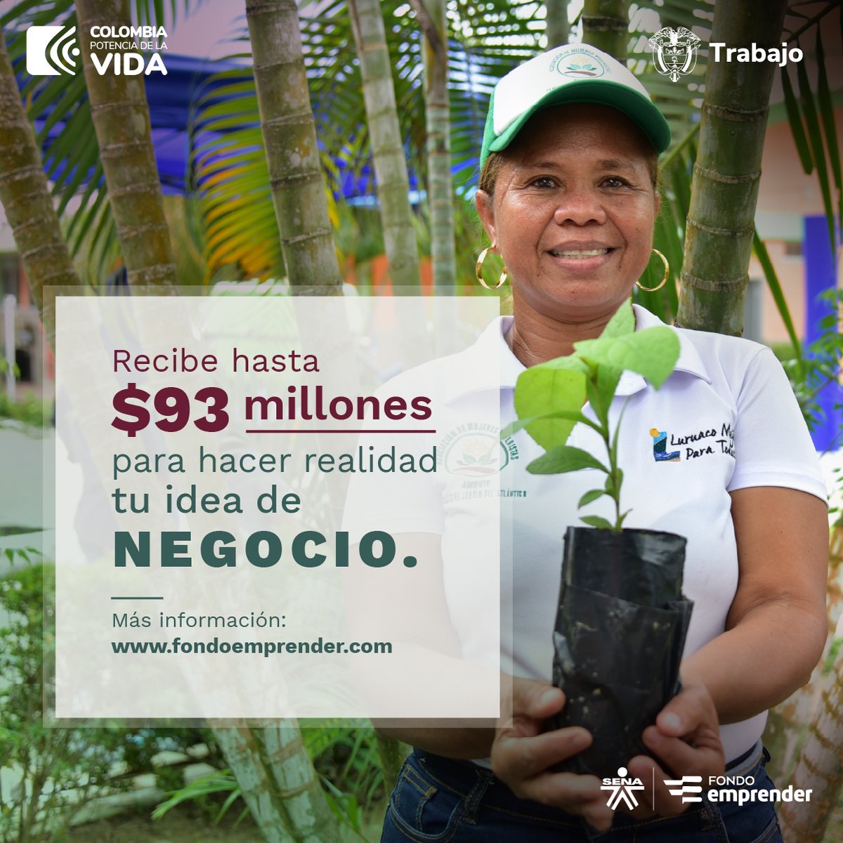SENAComunica's tweet photo. El SENA impulsa los emprendimientos del campo colombiano y abre una convocatoria para que aquellos que tienen una idea de negocio la puedan ejecutar. Más información en el Centro de Desarrollo Empresarial del SENA más cercano
https://t.co/NFCCZs1X7r
#EmprendedoresSENA https://t.co/YGZHQc3AZR