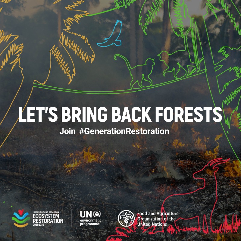 4.7 million hectares of forests are lost every year.

Protecting forests is one of the most effective ways to address the climate crisis.

Ahead of the #AfricaClimateSummit, join #GenerationRestoration and take action #ForNature: bit.ly/3fNtmjj