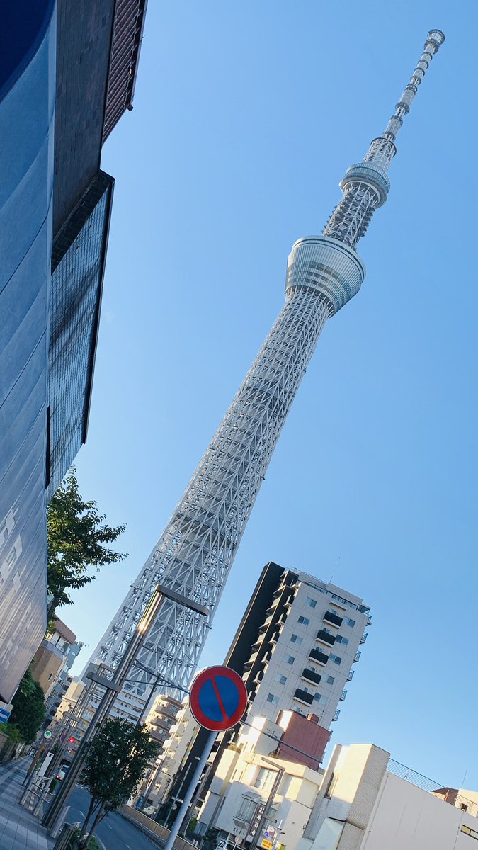 Good morning. #skytree #mukojima #kototoibridge #スカイツリー #言問橋 #向島