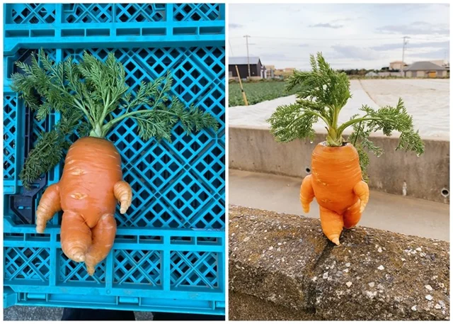 messedupfoods's tweet image. where tf is he going