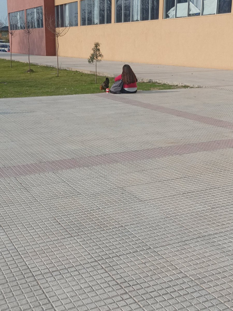 laufeydoll's tweet photo. las amistades en la facultad son lo mas importante <3 https://t.co/mLn4fqJFPc