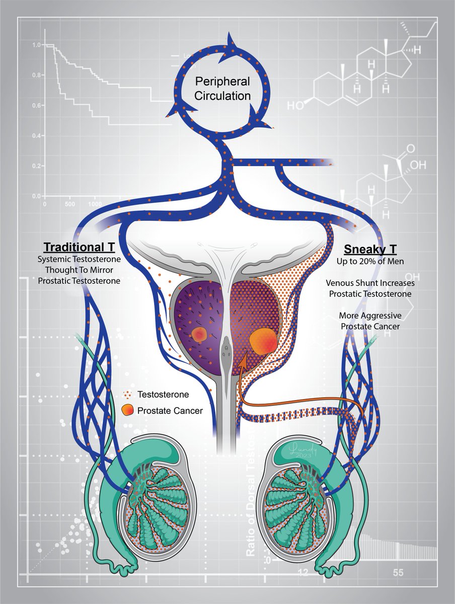 Scott Lundy MD PhD HCLD (@scottlundymdphd) on Twitter photo Few things in science are as gratifying as watching brilliant scientists like <a href="/NimaSharifiMD/">Nima Sharifi</a> and <a href="/EricKleinMD/">Eric Klein</a> pull a fundamental physiology rabbit from the prostate cancer hat. Stay tuned as we see how deep the rabbit hole truly goes! <a href="/jclininvest/">jclininvest</a>
jci.org/articles/view/… Few things in science are as gratifying as watching brilliant scientists like <a href="/NimaSharifiMD/">Nima Sharifi</a> and <a href="/EricKleinMD/">Eric Klein</a> pull a fundamental physiology rabbit from the prostate cancer hat. Stay tuned as we see how deep the rabbit hole truly goes! <a href="/jclininvest/">jclininvest</a>
jci.org/articles/view/…