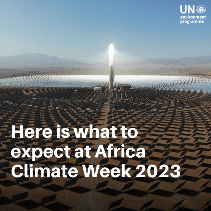 UNEP's tweet photo. African leaders will gather in Nairobi, Kenya next week for the #AfricaClimateWeek2023 to discuss ways to reduce greenhouse gas emissions while adapting to the mounting fallout from the #ClimateCrisis.

Here‘s what to expect
