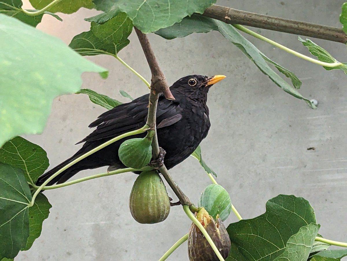 Mark Nau (@mark_nau) on Twitter photo 