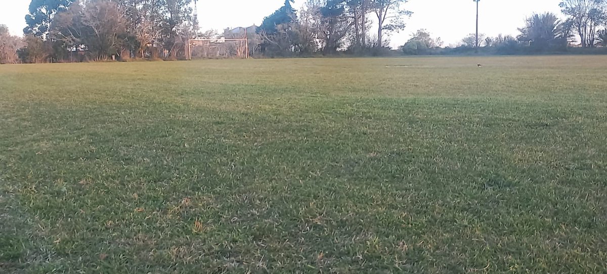 SEGUIMOS CRECIENDO 
#AIFA 
Nuestro Complejo se pone a punto y presenta mejoras en sus canchas.
Ahora podes alquilarlo tanto para clubes como campeonatos.
Por reservas tenes que llamar al 
📲📲 098 812 830
No te lo pierdas ⚽️⚽️