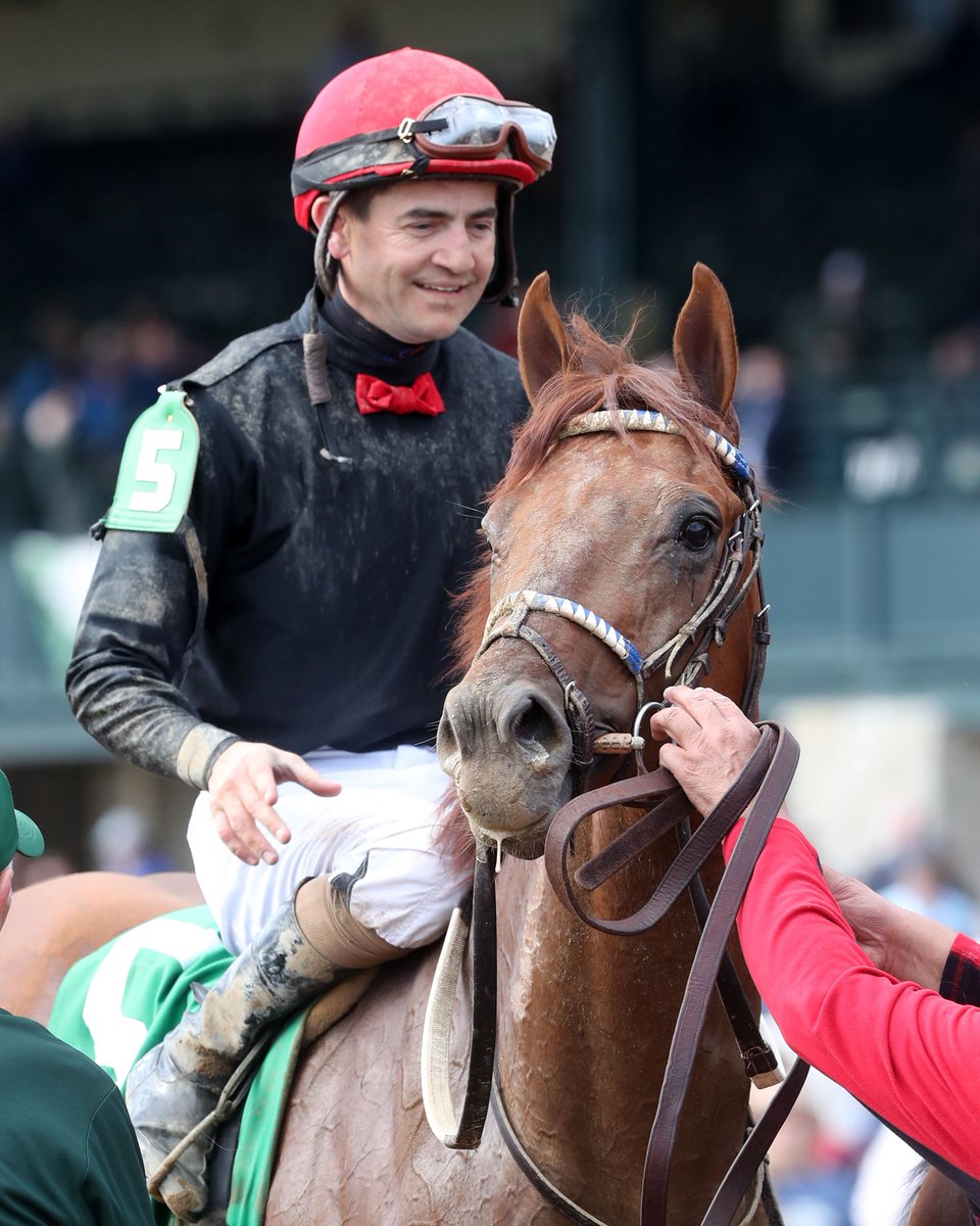 TwinSpires's tweet photo. Tomorrow at Saratoga, Rattle N Roll and Brian Hernandez will take on seven in the G1 Jockey Club Gold Cup! 🏆 

The pair is looking for their 7th stakes win together! 🏇 @KennyMcPeek @Lucky7Stables 

📸 @CoadyPhoto https://t.co/aM7Efao8IX