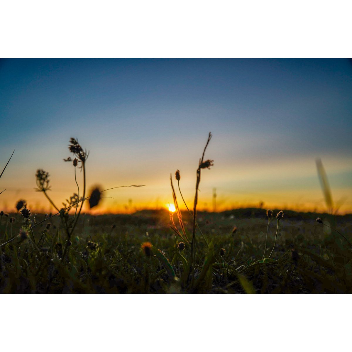 thomas_TomTom's tweet photo. Never get bored of sunsets #sunset #photography https://t.co/8xqDpc0Vli