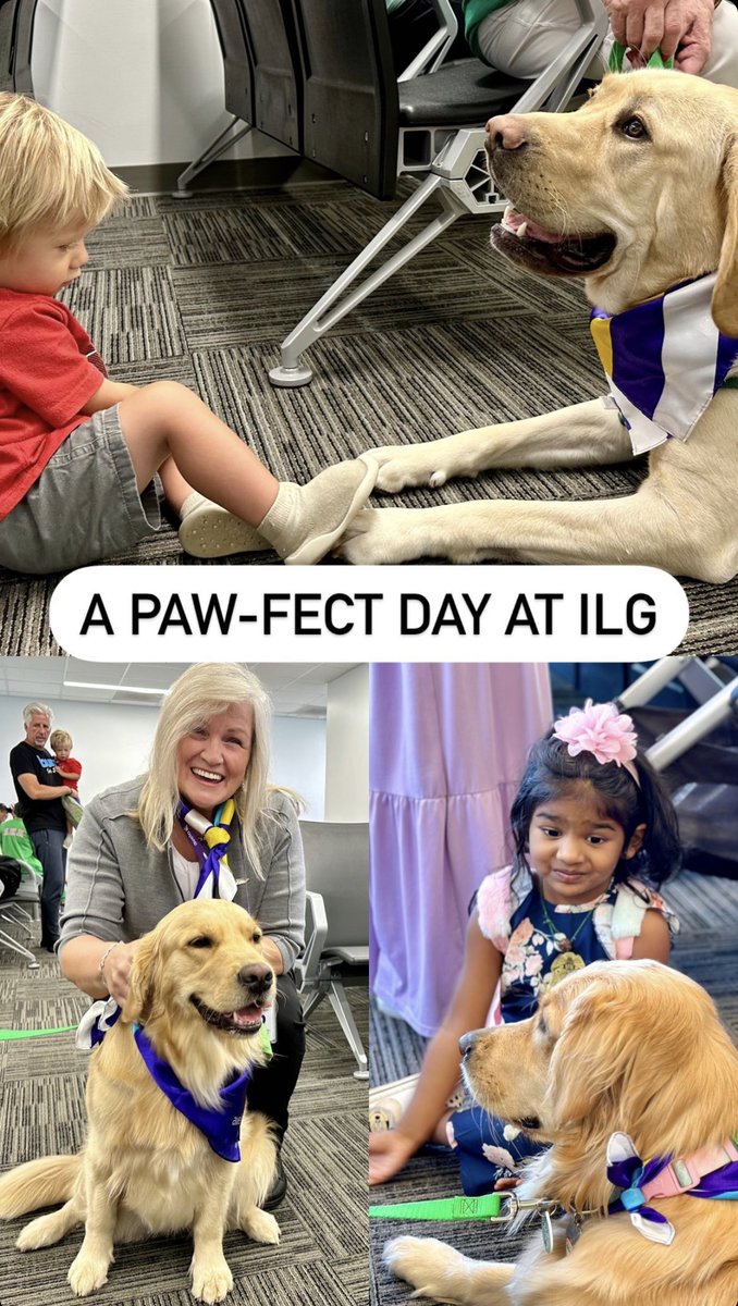 FlyILG's tweet photo. What a paw-fect day. 🐾 Kicking off a busy Labor Day weekend with a visit from @PAWSforPeople! 🐕 Their trained therapy dogs did an amazing job greeting &amp; comforting our @AveloAir passengers during the busiest flight time of the year at ILG. 😍 #FlyILG #PawsForPeople https://t.co/XB0yYMloh3