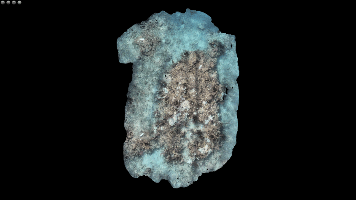 coralcrf's tweet image. In this #FridayFieldUpdate we are now beta-testing our photomosaic platform, CeruleanAI, in our Key West satellite office. This means that we will soon be able to roll out this platform to other organizations, democratizing access to this important tool! bit.ly/45SZXLP