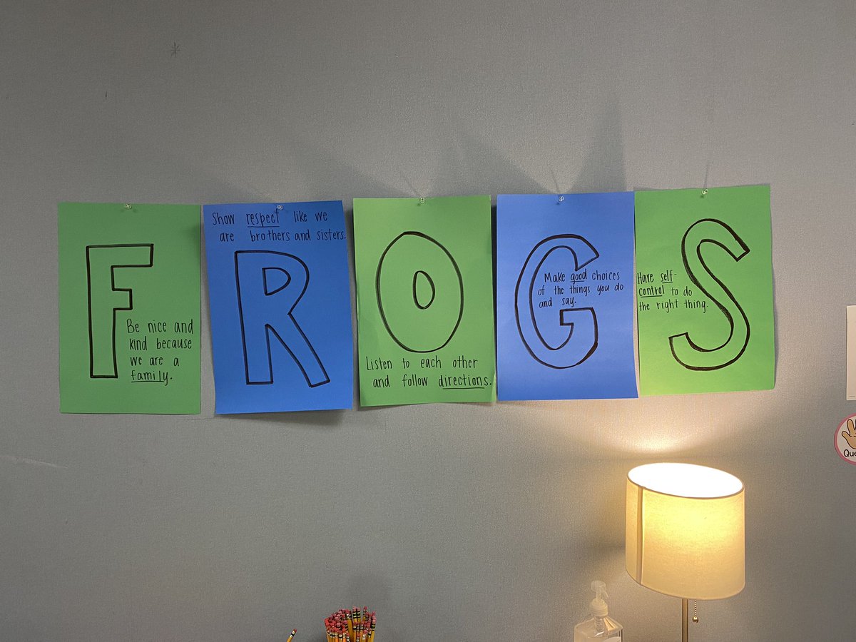 msorndorff_'s tweet photo. First week of school means we’re reviewing expectations! Students worked in table teams to come up with what it means to display the FROGS matrix in our classroom. #FROGS #ymes #thirdgrade #family #respect #order #goodjudgement #selfdiscipline https://t.co/GGUUoKPOr1