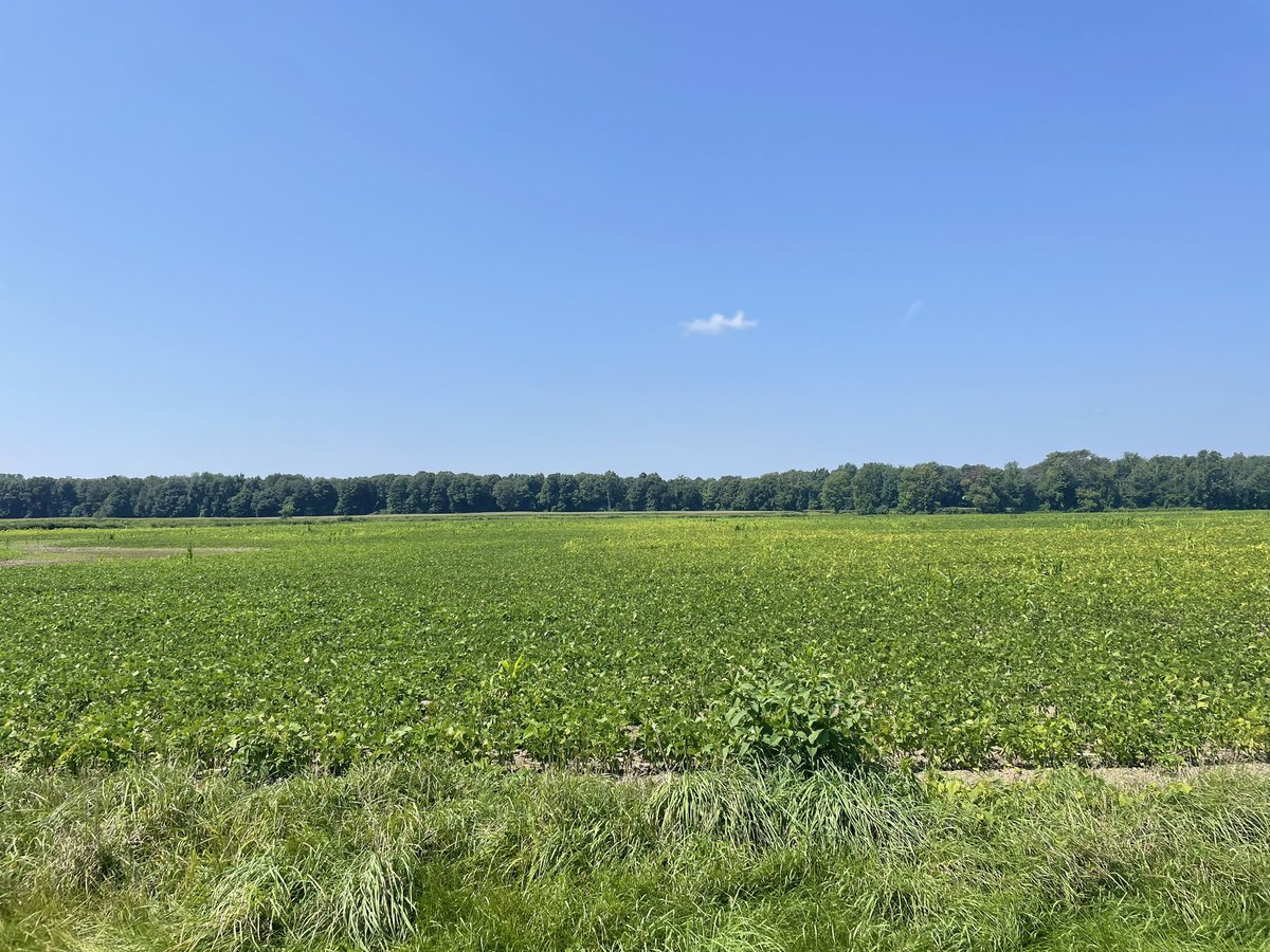 stephaniebowman's tweet image. Great to visit @CountyofLambton, for the area’s beauty &amp;amp; amazing bounty of food grown &amp;amp; produced by farmers like @EmeryHuszka &amp;amp;family businesses like @Sunshine_Farms_. Farmers need our support as they innovate &amp;amp; to #protectfarmland. Thx for the hospitality! #ontag @GrainFarmers