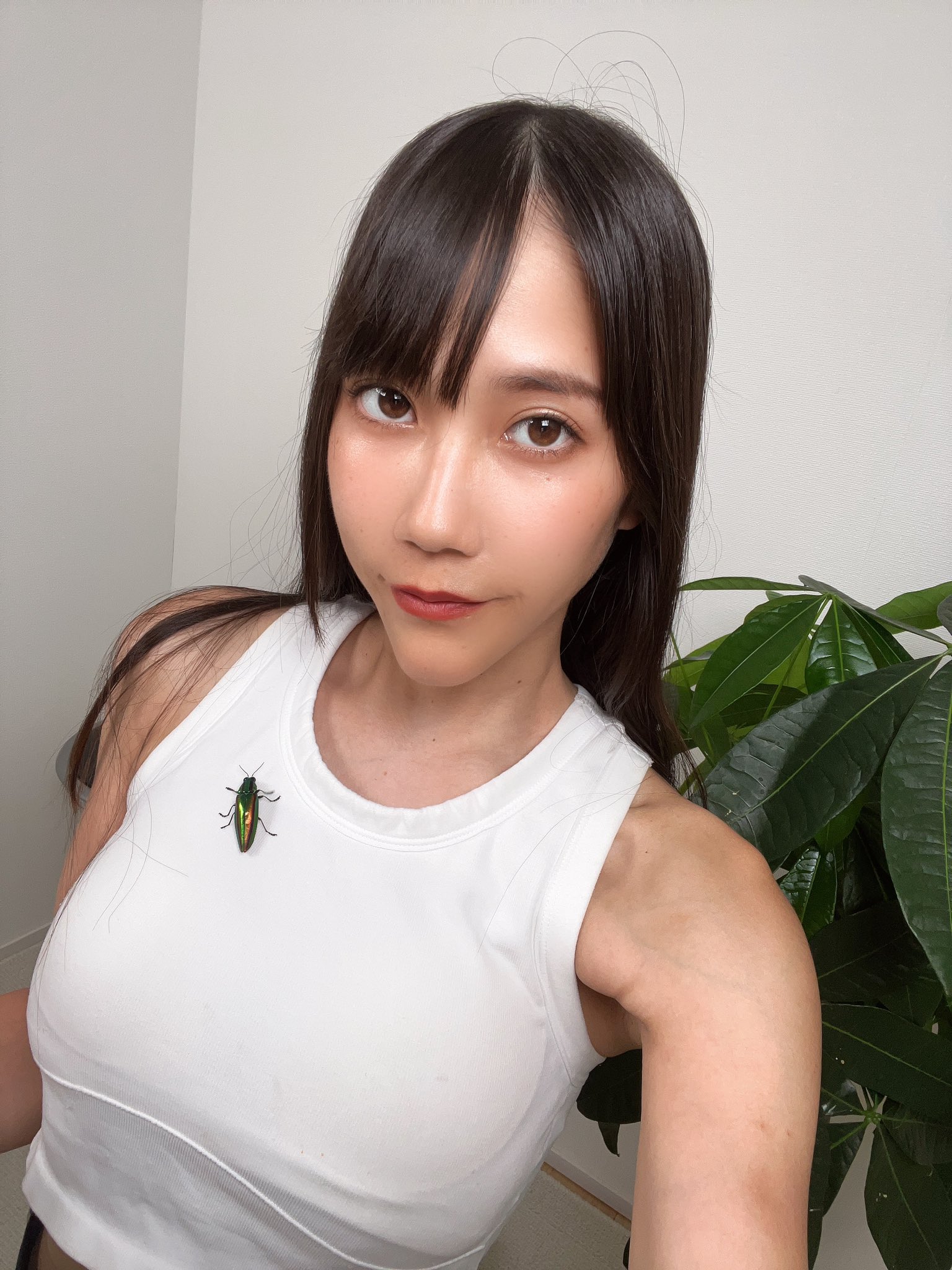 絶対領域虫ガールぴょんちゃん على X: 