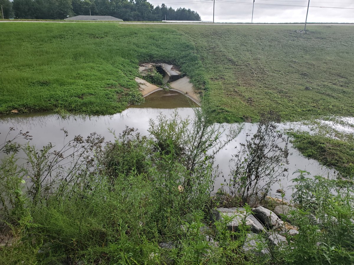 Hey @ALDOT and @USDOT, federal highway tax dollars should not be used to #flood and destroy #Elba, Alabama's Black Shiloh community. @SecretaryPete, the residents need your help in correcting this #environmentaljustice problem. @BullardCenter @CivilRights @NAACP #FHWA