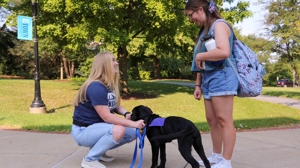 Samantha Machmer ’25 is fulfilling her dream of raising a service dog, partnering with <a href="/SSDOGS/">Susquehanna Service Dogs</a> to train the black Labrador retriever Farmer to start a puppy-raising program that the Occupational Therapy major is piloting on campus this fall!

Learn more: bit.ly/3PgWxwI.