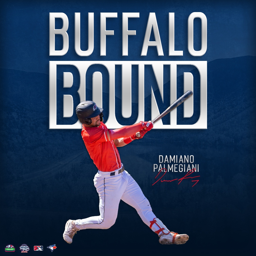 New Hampshire Fisher Cats tweet media