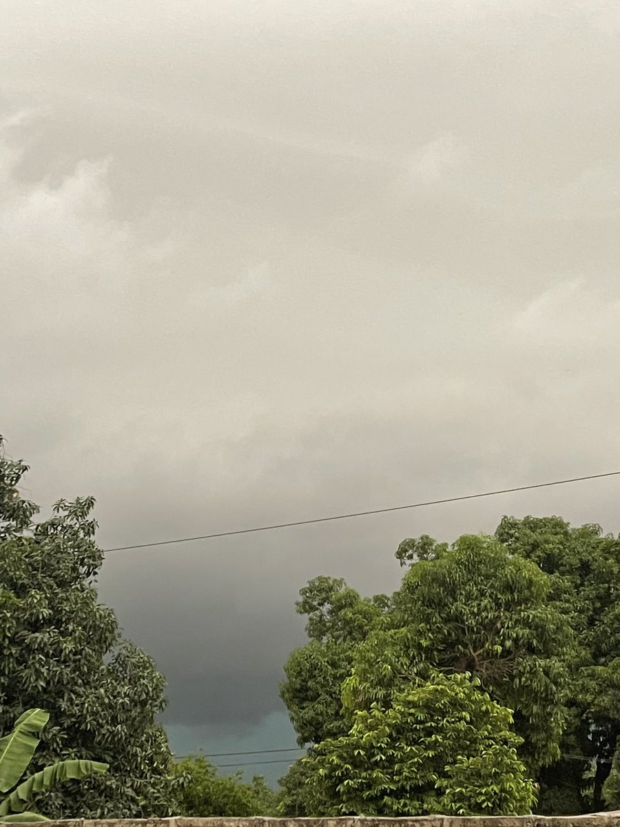 It’s summer 🌧️