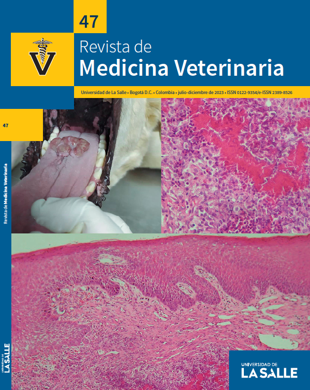 RevMedVet's tweet photo. No. 47 @RevMedVet (jul-dic/2023) @agrosalle @EdiUnisalle @unisalle, publicado, carátula: masa ulcerada, figuras llama y granuloma eosinofílico canino superficie dorsal lengua hembra labrador (fotos: Álvaro Rodríguez e Iovana Castellanos), disponible en: https://t.co/xkCH4hwRZO https://t.co/f2dzQhzIGY