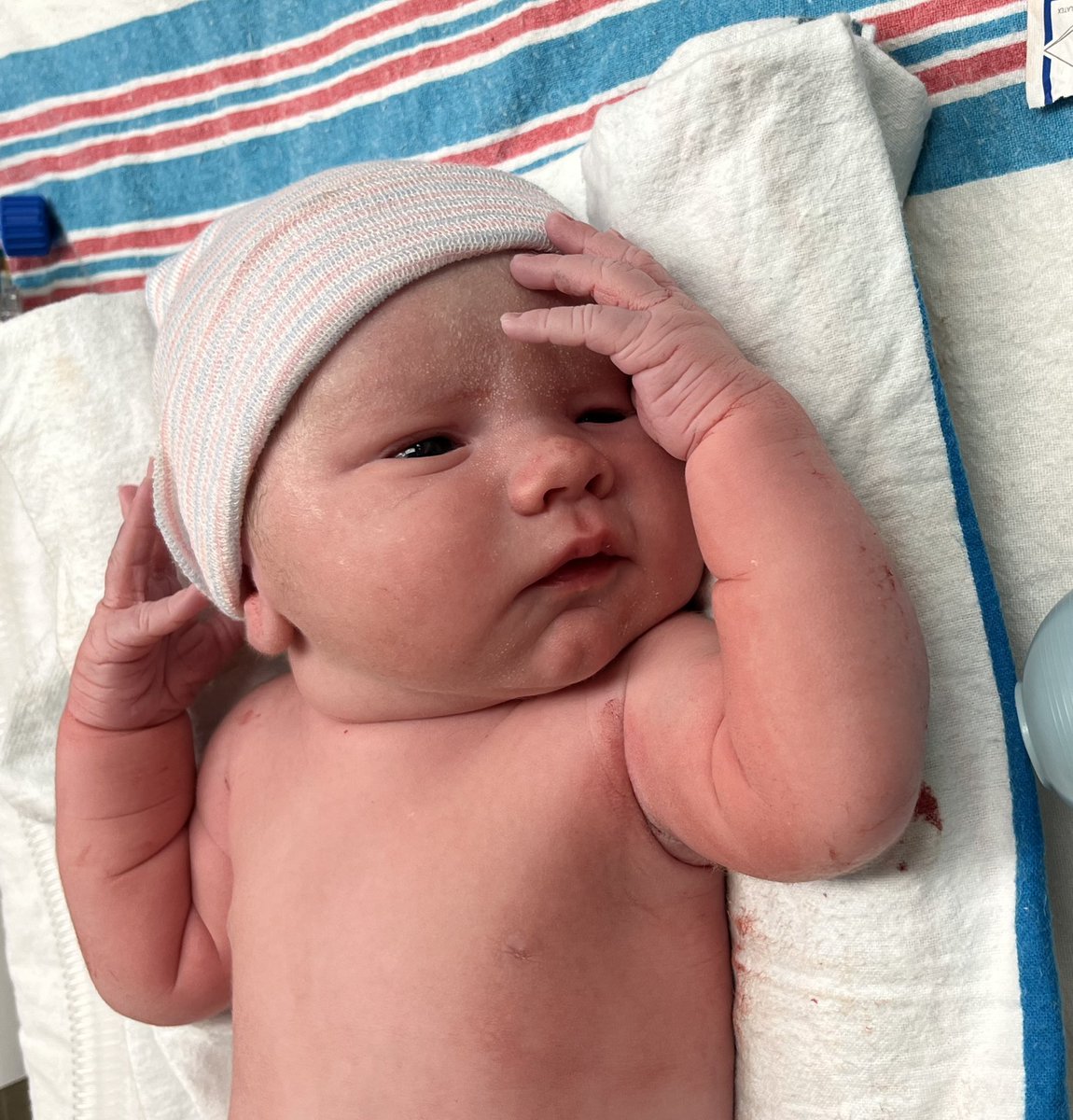 Josh Harris tweet media