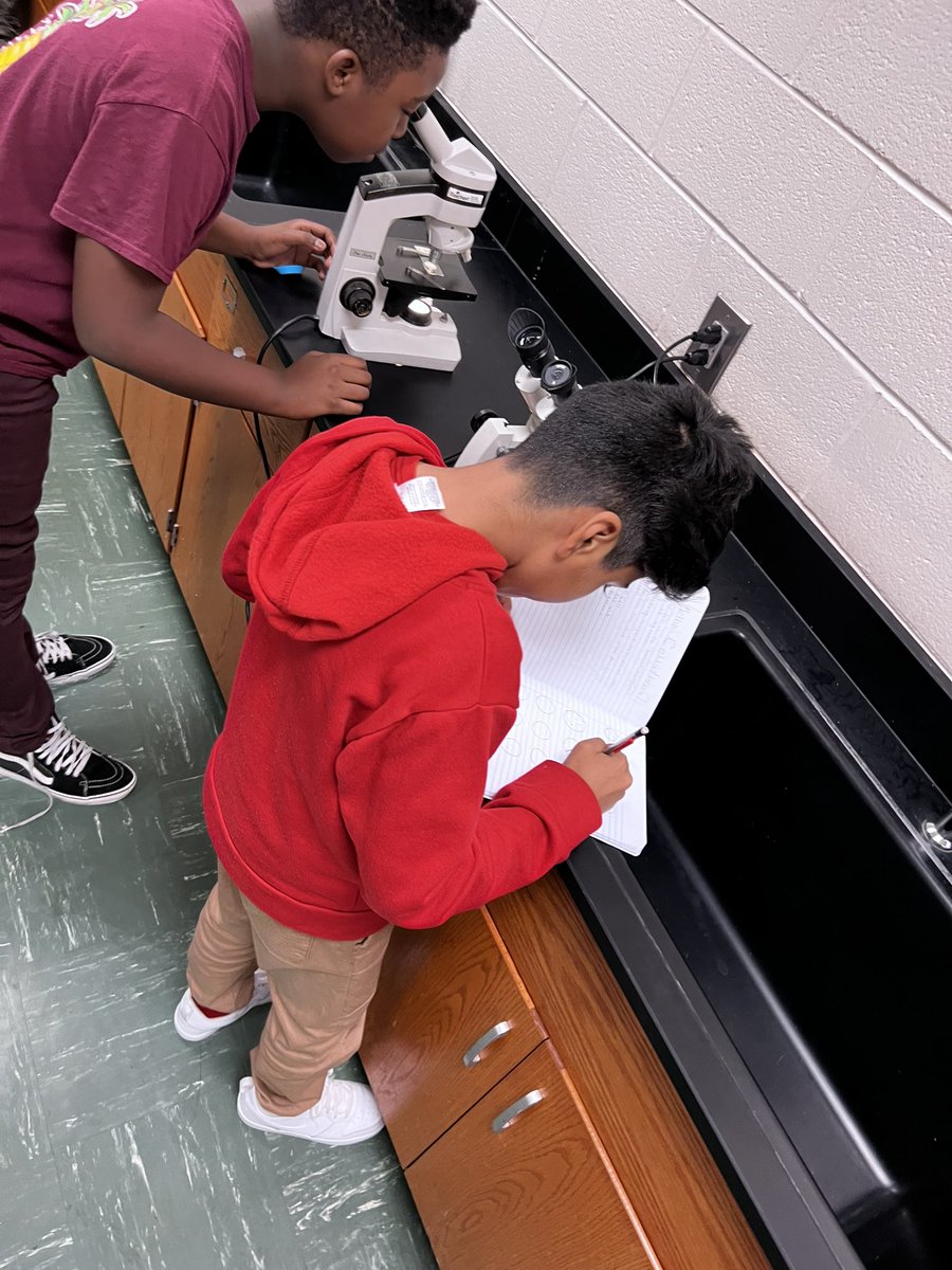 AAMrFlowers's tweet image. Highly engaging lab today by Mr. Broughton 7th grade Science teacher. Our scholars were identifying differences between animal and plants cells. #collab2class @YvetteChristi16 @istaypersistent @PAujla23 @amanda_hanie