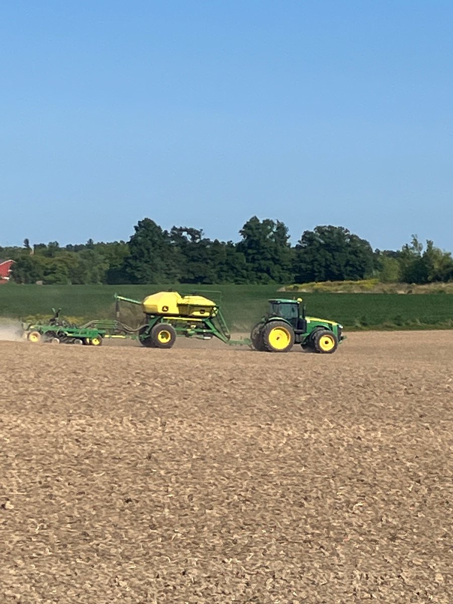 Nice day to plant the winter canola