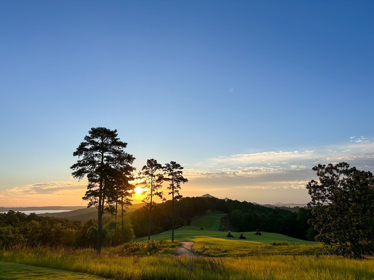 Koji Mitchell tweet media