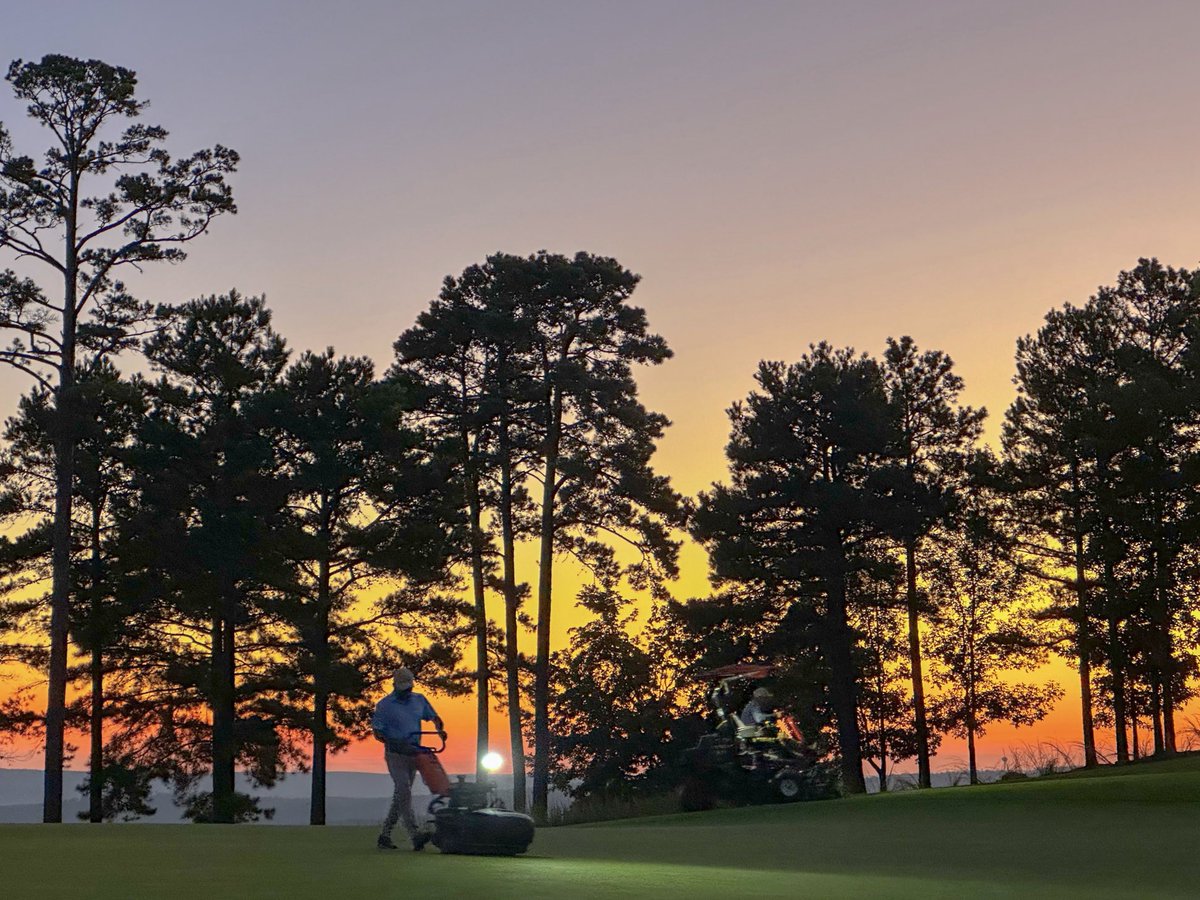 Koji Mitchell tweet media