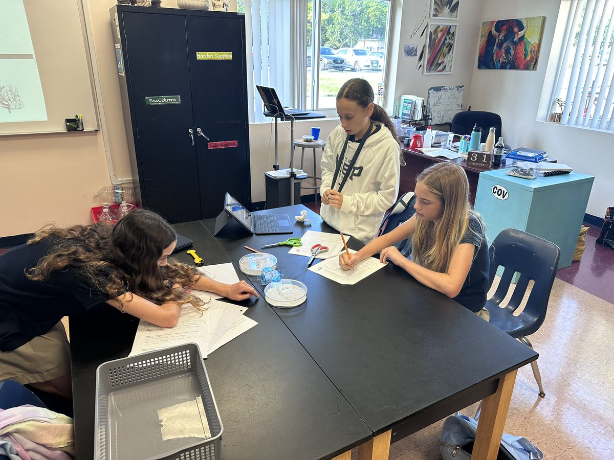 Alisha Hogg 🐬 tweet media