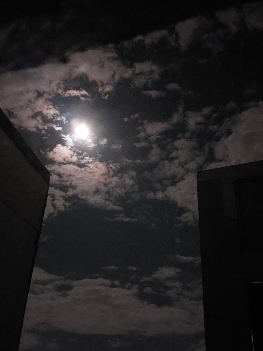 Benditoinsomnio's tweet photo. Luna inquieta
que interrumpes
mi tranquilo descansar,
te asomas por la rendija
para que te vea danzar.
Y en la fría madrugada
me viniste a entregar
el tímido recado
de aquel amor, 
que lejos está.

#ViernesDePoesía

#PalabrasDelAlma 🌻

📸 tomada a las 4:10 am del 1° de sept. https://t.co/bO9J8Oslis
