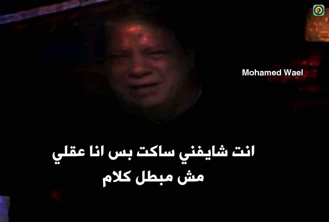 True Memes (@truememes_) on Twitter photo 