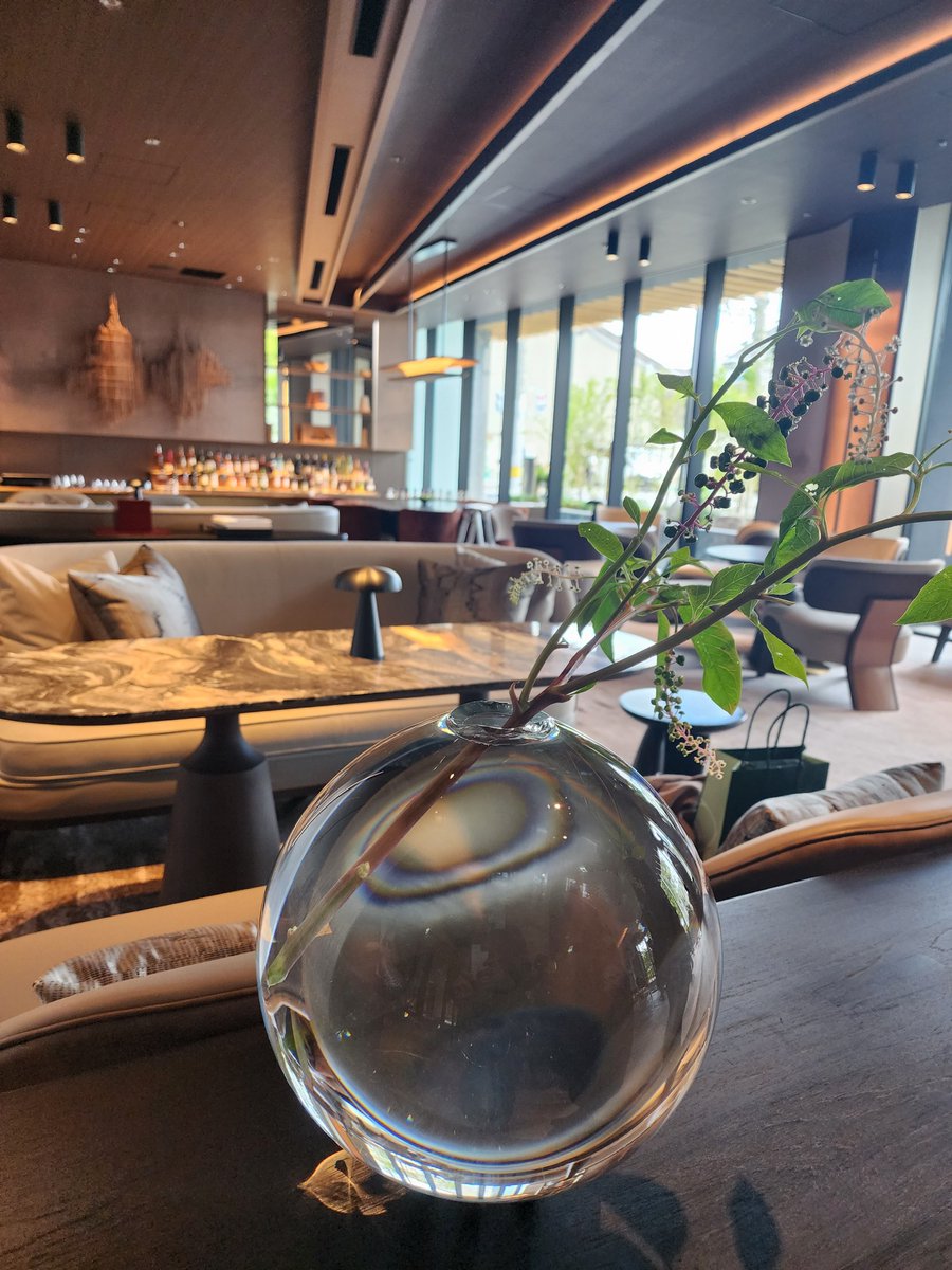 昨日オープンのデュシタニ京都様の開業イベントにお邪魔いたしました🥂

随所に「京都」と「タイ」を感じる空間が広がっていました。
非常に有意義な時間を過ごさせていただきました☺️

※昨日のポストで名称に誤りがございました。大変失礼致しました。改めてポストさせていただきます。