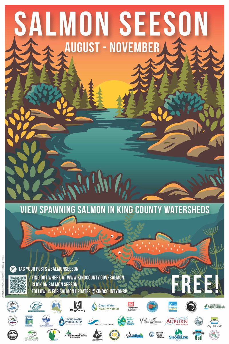 KCDNRP's tweet photo. Welcome, September! Welcome, salmon “see-son”!

Through late fall, salmon will return to King County rivers and streams to spawn. We’ve rounded up the best locations for salmon viewing 🐟➡️https://t.co/rjmlr847tq
#SalmonSEEson https://t.co/kMaYxaVNIP