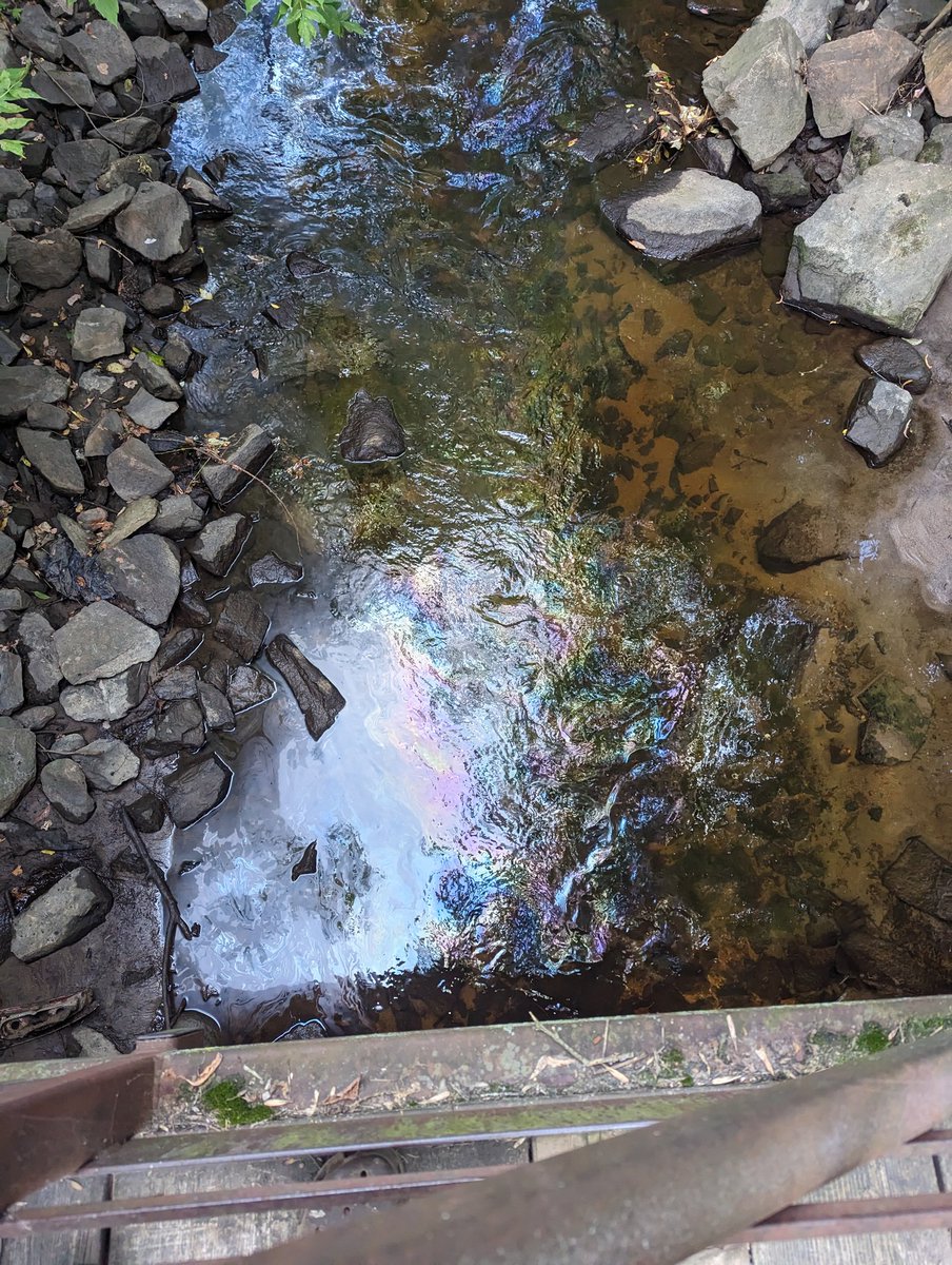 Peter Anello tweet media