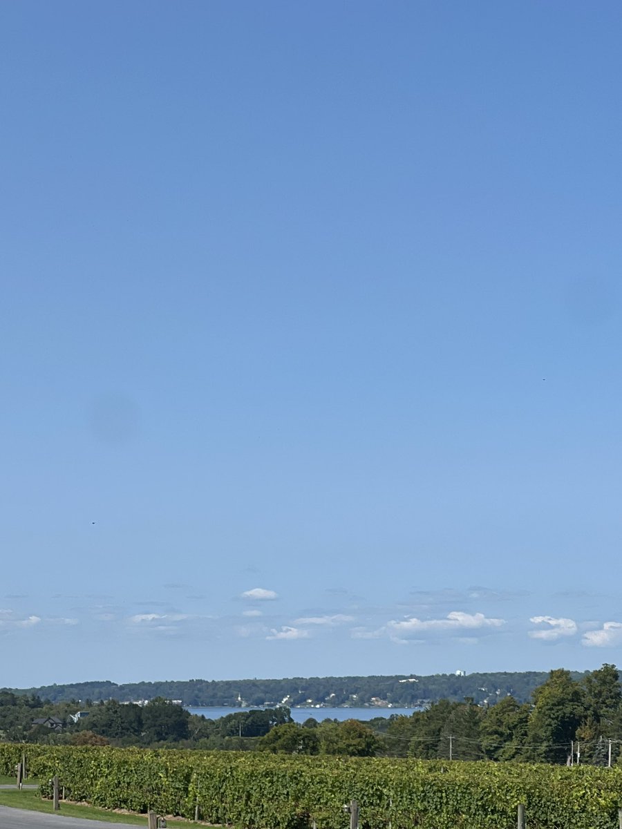It is a beautiful day in CNY #skaneateleslake #anyeleswinery #CNY